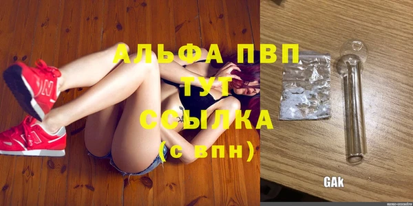 каннабис Богданович
